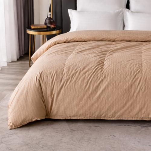 Beige Soft Quilted Comforter